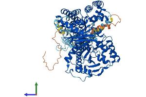 AlphaFold protein structure predicition of Mouse Recombinant Cpt1c Protein, UniprotID Q8BGD5 (CPT1C Protein (AA 1-798) (His tag))