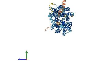 AlphaFold protein structure predicition of Mouse Recombinant Mfsd2a Protein, UniprotID Q9DA75