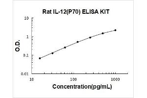 Rat IL-12(p70) PicoKine ELISA Kit standard curve