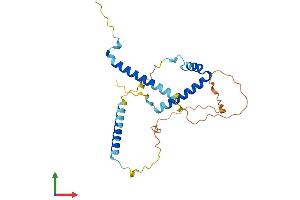 AlphaFold protein structure predicition of Mouse Recombinant Gemin8 Protein, UniprotID Q8BHE1 (GEMIN8 Protein (AA 1-238) (His tag))