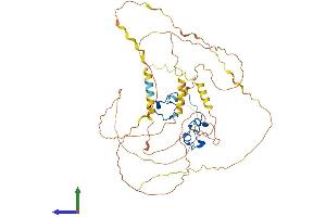 AlphaFold protein structure predicition of Human Recombinant ZFP36L2 Protein, UniprotID P47974