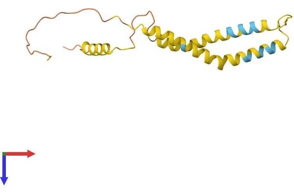 OCIAD2 Protein (AA 1-154) (His tag)