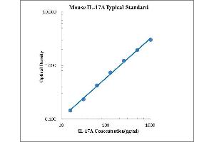 Interleukin 17A (IL17A) ELISA Kit