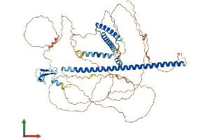 AlphaFold protein structure predicition of Human Recombinant PHF21A Protein, UniprotID Q96BD5 (PHF21A Protein (AA 1-680) (His tag))