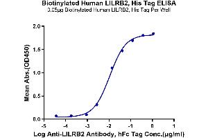 Immobilized Biotinylated Human LILRB2, His Tag at 0. (LILRB2 Protein (His-Avi Tag,Biotin))