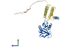 AlphaFold protein structure predicition of Mouse Recombinant Cd209b Protein, UniprotID Q8CJ91 (CD209b Antigen (CD209B) (AA 1-325) protein (His tag))