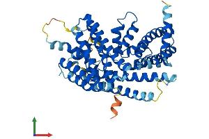 AlphaFold protein structure predicition of Mouse Recombinant Mboat4 Protein, UniprotID P0C7A3