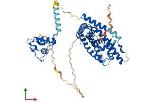 AlphaFold protein structure predicition of Human Recombinant NR1H3 Protein, UniprotID Q13133 (NR1H3 Protein (AA 1-447) (His tag))