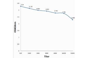 Antigen: 0. (F2RL3 antibody  (AA 320-343))