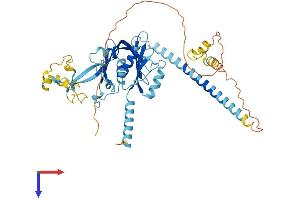 AlphaFold protein structure predicition of Human Recombinant PPAN Protein, UniprotID Q9NQ55 (PPAN Protein (AA 1-473) (His tag))