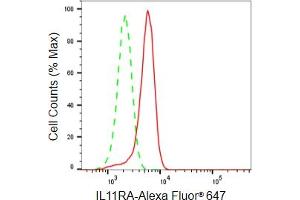Flow cytometric analysis of IL11RA expression in HeLa cells using IL11RA antibody (ABIN7799097), 1:2,000).