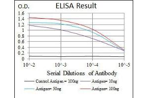 Black line: Control Antigen (100 ng), Purple line: Antigen(10 ng), Blue line: Antigen (50 ng), Red line: Antigen (100 ng), (PPM1A antibody  (AA 202-382))