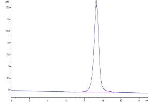 Size-exclusion chromatography-High Pressure Liquid Chromatography (SEC-HPLC) image for CD83 (CD83) (AA 20-147) protein (His tag) (ABIN7274246)