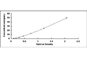 Typical standard curve (SAA ELISA Kit)