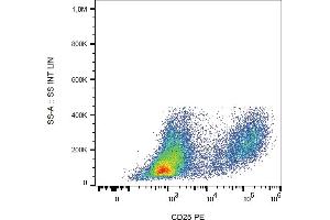 Flow cytometry analysis (surface staining) of PHA-stimulated human PBMC with anti-human CD25 (MEM-181) PE. (CD25 antibody  (PE))