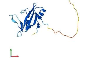 AlphaFold protein structure predicition of Human Recombinant SH2D1A Protein, UniprotID O60880