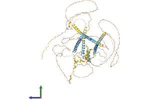 AlphaFold protein structure predicition of Human Recombinant PNISR Protein, UniprotID Q8TF01 (SFRS18 Protein (AA 1-805) (His tag))