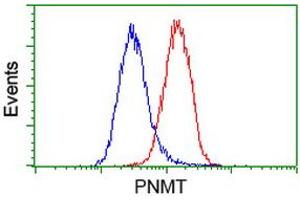 Flow cytometric Analysis of Hela cells, using anti-PNMT antibody (ABIN2454538), (Red), compared to a nonspecific negative control antibody, (Blue). (PNMT antibody)