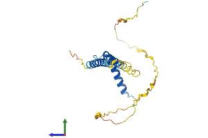 Protein Structure (PS) image for Coiled-Coil Domain Containing 28B (CCDC28B) (AA 1-200) protein (His tag) (ABIN7553093)