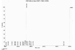 Image no. 1 for Urocortin 3 (UCN3) peptide (KLH) (ABIN5666055) (Urocortin 3 (UCN3) peptide (KLH))