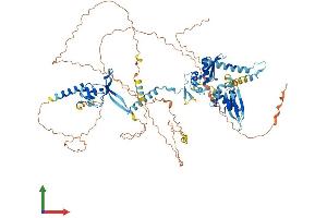 AlphaFold protein structure predicition of Mouse Recombinant Dgcr8 Protein, UniprotID Q9EQM6