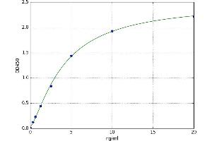 Hexosaminidase A (HEXA) ELISA Kit