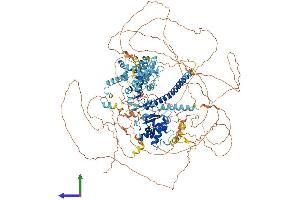 Protein Structure (PS) image for Nuclear Factor Related To KappaB Binding Protein (NFRKB) (AA 1-1299) protein (His tag) (ABIN7554743)