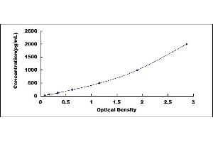 Typical standard curve (COL1A1 ELISA Kit)