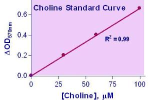 Biochemical Assay (BCA) image for Choline Assay Kit (ABIN1000299)
