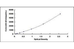 Mucosal Vascular Addressin Cell Adhesion Molecule 1 (MADCAM1) ELISA Kit