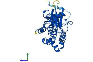 AlphaFold protein structure predicition of Mouse Recombinant Atg5 Protein, UniprotID Q99J83 (ATG5 Protein (AA 1-275) (His tag))