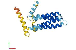 AlphaFold protein structure predicition of Human Recombinant SFT2D2 Protein, UniprotID O95562 (SFT2D2 Protein (AA 1-160) (His tag))