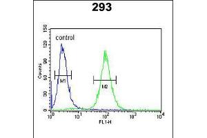 Flow cytometric analysis of 293 cells (right histogram) compared to a negative control cell (left histogram). (HSPB3 antibody  (N-Term))