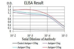 Black line: Control Antigen (100 ng),Purple line: Antigen (10 ng), Blue line: Antigen (50 ng), Red line:Antigen (100 ng) (TH antibody  (AA 44-208))