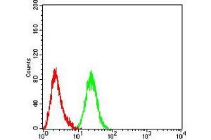 Flow cytometric analysis of Hela cells using ARF1 mouse mAb (green) and negative control (red). (ARF1 antibody  (AA 76-182))