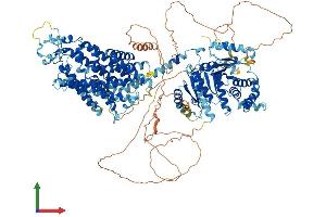 AlphaFold protein structure predicition of Human Recombinant SLC12A2 Protein, UniprotID P55011 (SLC12A2 Protein (AA 1-1212) (His tag))
