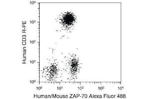 Human peripheral blood from normal donors was stained using a combination of anti–human CD3 monoclonal antibody (clone: S4. (FIX&PERM® Solution A (Fix))
