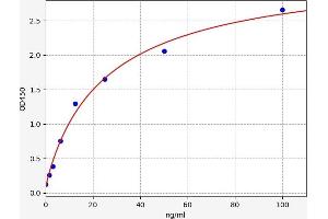 Typical standard curve (IKBKB ELISA Kit)