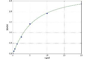 SNF1A/AMP-Activated Protein Kinase (SNF1A) ELISA Kit