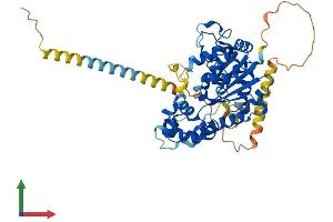 AlphaFold protein structure predicition of Human Recombinant CHST3 Protein, UniprotID Q7LGC8
