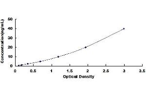 Typical standard curve (Vitamin D Receptor ELISA Kit)