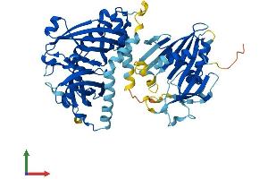 AlphaFold protein structure predicition of Human Recombinant ACOT12 Protein, UniprotID Q8WYK0 (ACOT12 Protein (AA 1-555) (His tag))