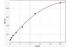 MYL3/CMLC1 ELISA Kit