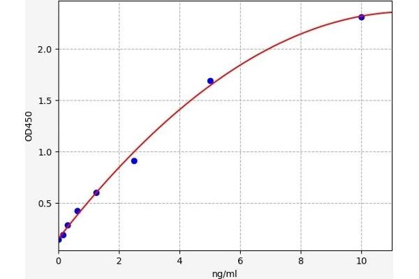 MYL3/CMLC1 ELISA Kit