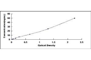 Typical standard curve (CH25H ELISA Kit)