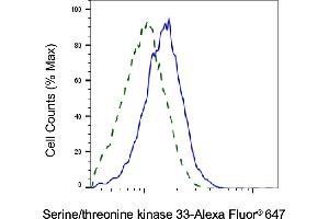 Validation of Serine/threonine kinase 33 knockdown using flow cytometry. (Recombinant STK33 antibody)