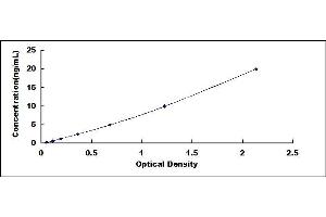 Typical standard curve (Cx40/GJA5 ELISA Kit)