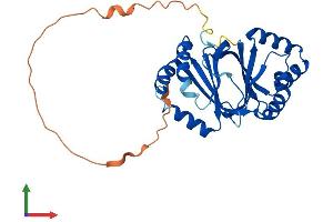 Protein Structure (PS) image for 4-Nitrophenylphosphatase Domain and Non-Neuronal SNAP25-Like Protein Homolog 1 (NIPSNAP1) (AA 1-284) protein (His tag) (ABIN7549761)