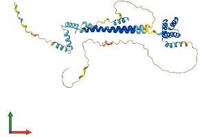 Protein Structure (PS) image for Pre-B-Cell Leukemia Homeobox 4 (PBX4) (AA 1-378) protein (His tag) (ABIN7560442)