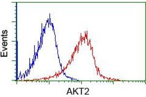 Flow cytometric analysis of Jurkat cells, using anti-AKT2 antibody (ABIN2452738), (Red) compared to a nonspecific negative control antibody (TA50011) (Blue). (AKT2 antibody)